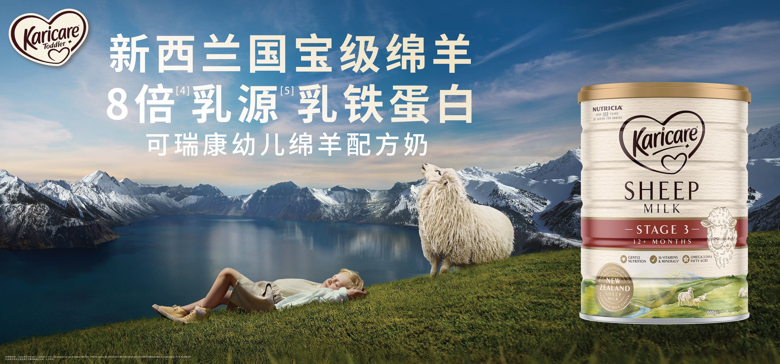 sheep